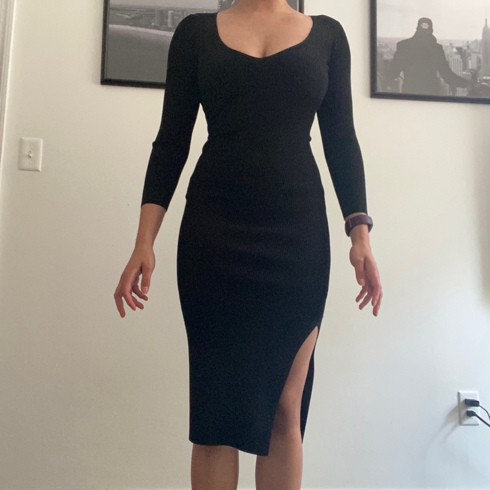 Aritzia Babaton dress